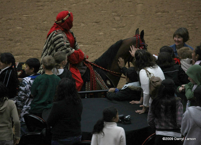 2009 Arabian Breeders World Cup - Thursday