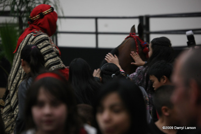2009 Arabian Breeders World Cup - Thursday