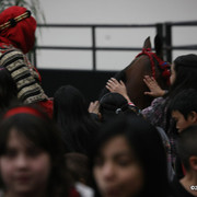 2009 Arabian Breeders World Cup - Thursday
