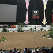 2009 Arabian Breeders World Cup - Thursday