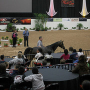 2009 Arabian Breeders World Cup - Thursday