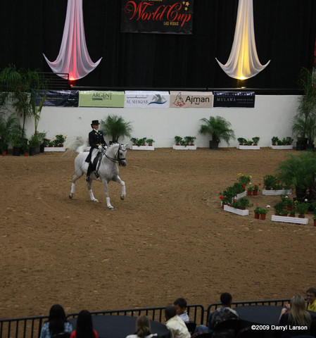 2009 Arabian Breeders World Cup - Thursday
