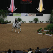 2009 Arabian Breeders World Cup - Thursday