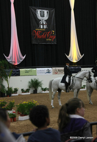 2009 Arabian Breeders World Cup - Thursday
