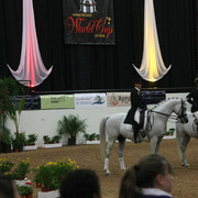 2009 Arabian Breeders World Cup - Thursday