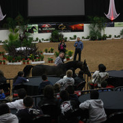 2009 Arabian Breeders World Cup - Thursday