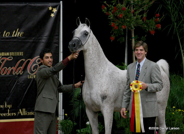 2009 Arabian Breeders World Cup - Friday