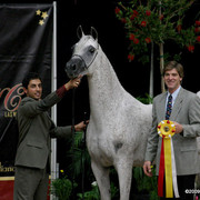 2009 Arabian Breeders World Cup - Friday