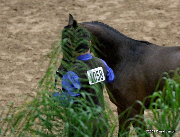 2009 Arabian Breeders World Cup - Friday