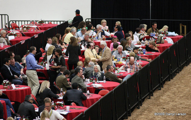 2009 Arabian Breeders World Cup - Friday
