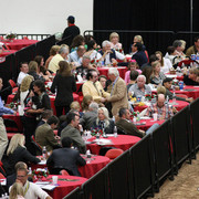 2009 Arabian Breeders World Cup - Friday