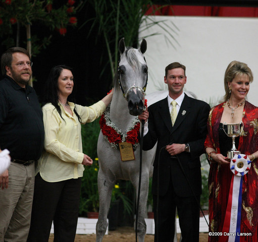 2009 Arabian Breeders World Cup - Friday