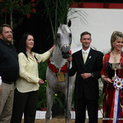 2009 Arabian Breeders World Cup - Friday