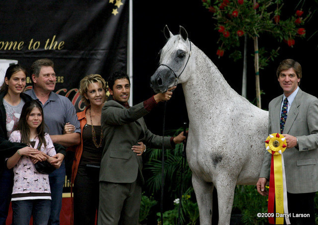 2009 Arabian Breeders World Cup - Friday