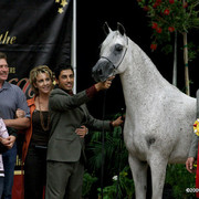 2009 Arabian Breeders World Cup - Friday