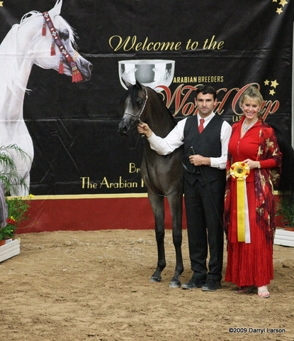 2009 Arabian Breeders World Cup - Friday