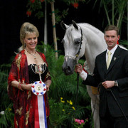 2009 Arabian Breeders World Cup - Friday