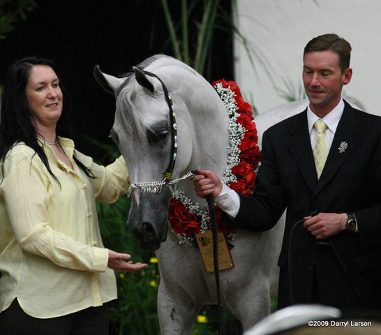 2009 Arabian Breeders World Cup - Friday