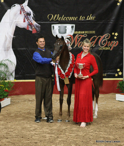 2009 Arabian Breeders World Cup - Friday