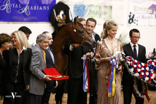 2009 Arabian Breeders World Cup 