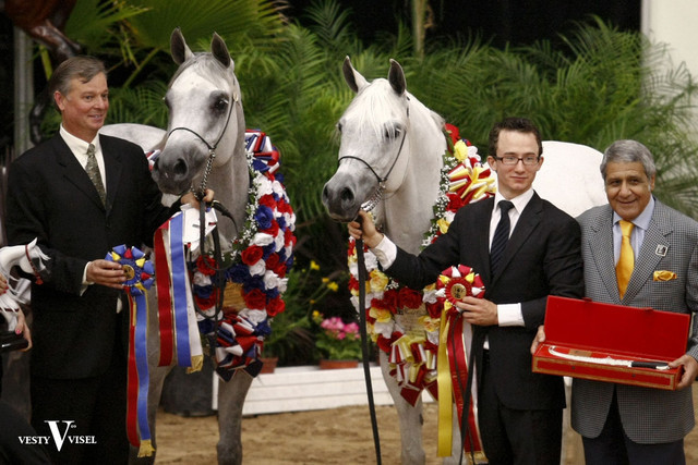 2009 Arabian Breeders World Cup 