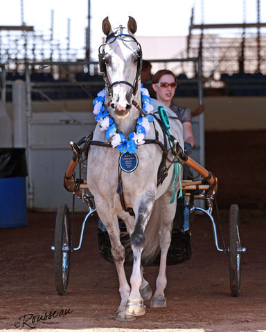 Region 7 Championship Show 2009 - C. Rousseau