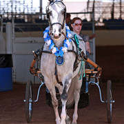 Region 7 Championship Show 2009 - C. Rousseau
