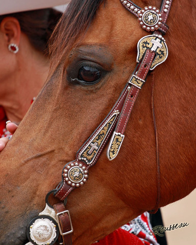 Region 7 Championship Show 2009 - C. Rousseau
