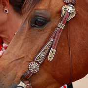 Region 7 Championship Show 2009 - C. Rousseau