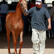 Region 7 Championship Show 2009 - C. Rousseau