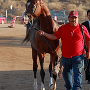 Region 7 Championship Show 2009 - C. Rousseau