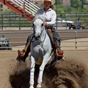 Region 7 Championship Show 2009 - C. Rousseau