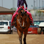 Region 7 Championship Show 2009 - C. Rousseau