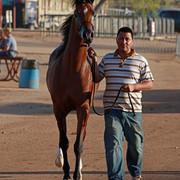 Region 7 Championship Show 2009 - C. Rousseau