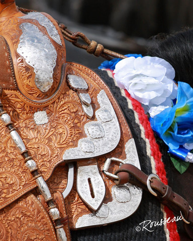 Region 7 Championship Show 2009 - C. Rousseau