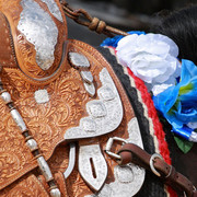 Region 7 Championship Show 2009 - C. Rousseau