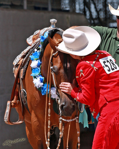Region 7 Championship Show 2009 - C. Rousseau