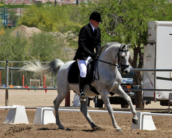 Region 7 Championship Show 2009 - C. Rousseau