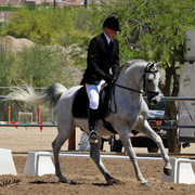 Region 7 Championship Show 2009 - C. Rousseau