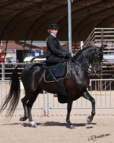 Region 7 Championship Show 2009 - C. Rousseau