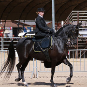 Region 7 Championship Show 2009 - C. Rousseau