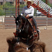 Region 7 Championship Show 2009 - C. Rousseau