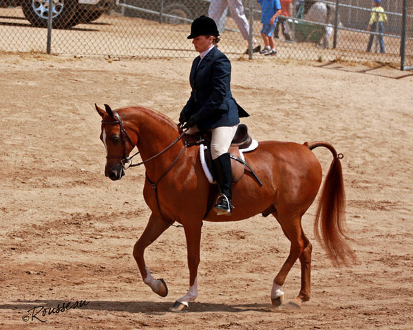 Region 7 Championship Show 2009 - C. Rousseau