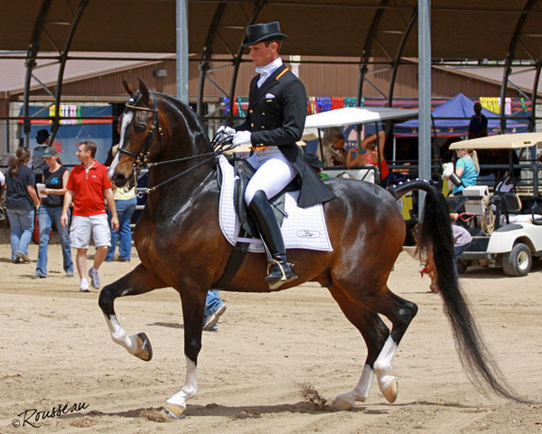 Region 7 Championship Show 2009 - C. Rousseau