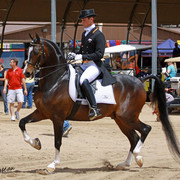 Region 7 Championship Show 2009 - C. Rousseau