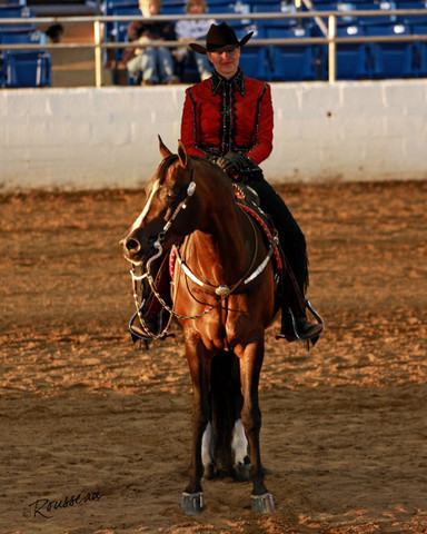 Region 7 Championship Show 2009 - C. Rousseau