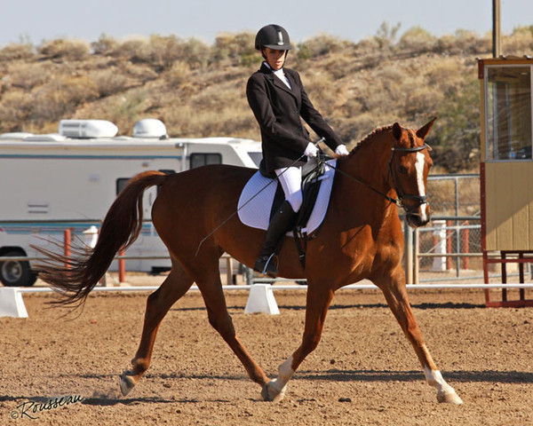 Region 7 Championship Show 2009 - C. Rousseau