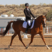 Region 7 Championship Show 2009 - C. Rousseau