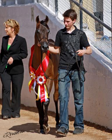 Region 7 Championship Show 2009 - C. Rousseau