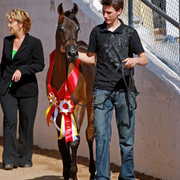 Region 7 Championship Show 2009 - C. Rousseau